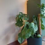 WhatsApp Image 2025-12-14 at 09.59.20 (1)