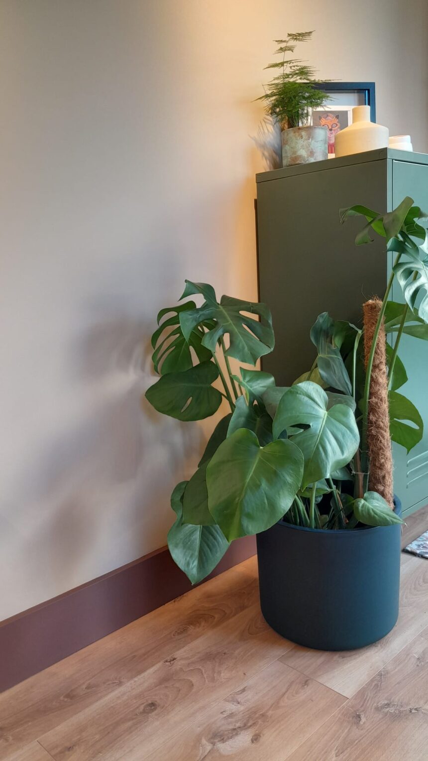 WhatsApp Image 2025-12-14 at 09.59.20 (1)