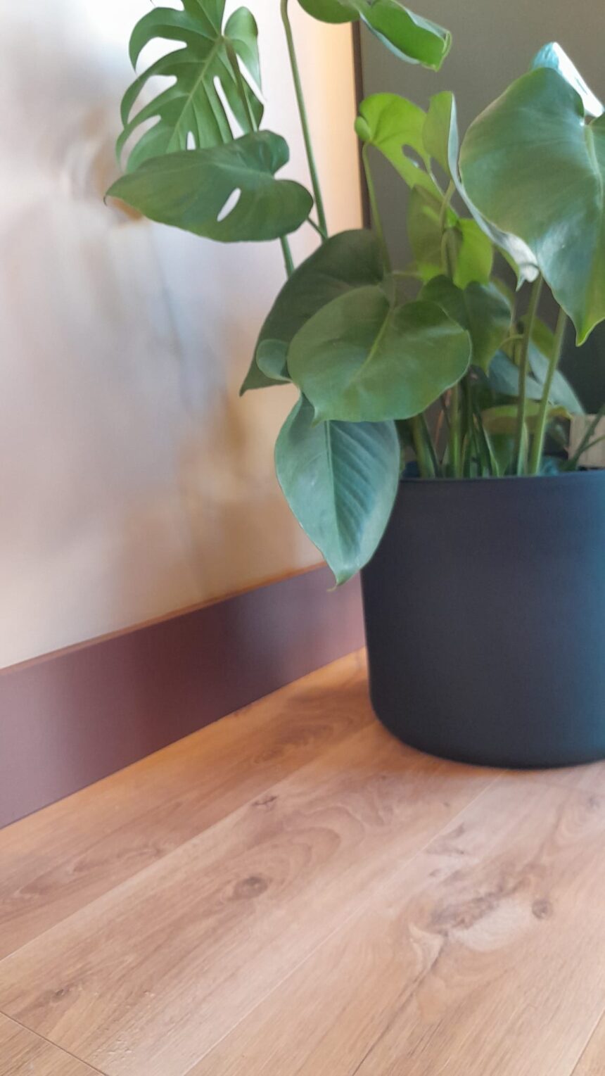 WhatsApp Image 2025-12-14 at 09.59.20 (2)